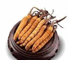 क्या है कीड़ा जड़ी, कहां मिलती है, जानिए पूरी जानकारी