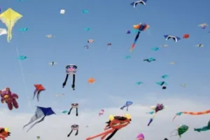 गुजरात: उत्तरायण त्योहार पर पतंगबाजी में 60 लोग घायल, किसी का चेहरा कटा तो किसी का गला…