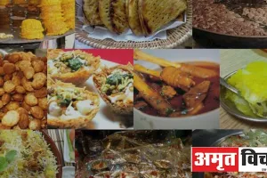 Lucknow Famous Dishes:  अगर आप Food Lover हैं तो जरूर खाएं ये टेस्टी व्यंजन, नाम सुनकर ही मुंह में आ जाएगा पानी…