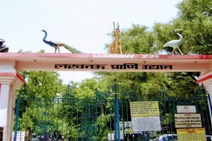 लखनऊ: कोरोना व ठंड के चलते सैलानियों को तरस रहा चिड़ियाघर, ये हो गई हालत…