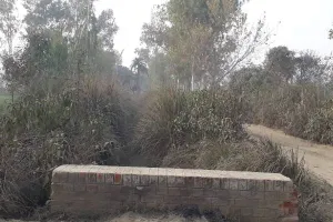 हरदोई: दो वर्षों से माइनर सफाई न होने से किसानों के सामने सिंचाई का संकट