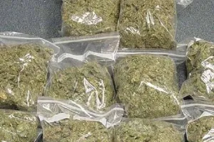 पंजाब का स्मैक और ओडिशा का गांजा यूपी में बना रहा पैठ, राजधानी में तेजी से बढ़ रहा अवैध कारोबार