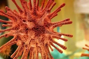 बरेली: फेफड़ों पर वार नहीं कर रहा ओमिक्रॉन