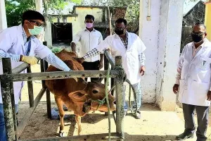 पशुपालकों के लिए सीएम योगी जल्द शुरू करेंगे यह सुविधा…