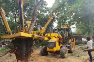 बरेली: नगर निगम से चिन्हित पेड़ ही केवल किए ट्रांसलोकेट