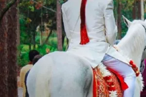 नीमच जिले में दलित दूल्हे की बारात को पुलिस ने दी सुरक्षा