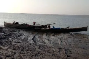 गुजरात: BSF ने कच्छ के पास नौ पाकिस्तानी नौकाओं को किया जब्त, खाड़ी क्षेत्र में तलाश अभियान शुरू