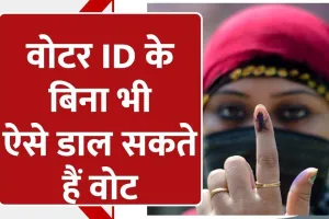 हल्द्वानी: मतदाता पहचान पत्र नहीं है तो इन 12 दस्तावेजों से डाल सकते हैं वोट