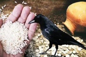 उत्तराखंड के इस मंदिर में कॉकरोच, गाय और पक्षियों को प्रतिदिन लगाया जाता है चावल का भोग, जानिए रहस्य