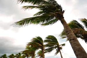 लखनऊ: 19 व 20 फरवरी को प्रदेश में बहेंगी तेज हवाएं, तापमान में होगी और बढ़ोतरी