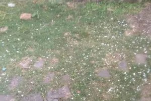 सीतापुर: बारिश के साथ गिरे ओले, कई फसलों को नुकसान तो कुछ को हुआ फायदा