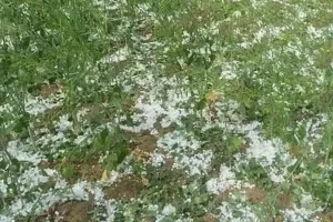 अयोध्या: नियमों के फेर में फंसा किसानों का मुआवजा, सर्वे में नहीं मिली क्षति