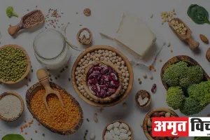 Vegetarian Protein Foods:  अगर आप शाकाहारी हैं तो प्रोटीन की कमी पूरी करने के लिए रोज खाएं यह चीजें, नहीं होगी किसी प्रकार की दिक्कत