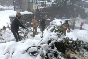 हल्द्वानी और कालाढूंगी से नैनीताल जाने वाले रास्ते बर्फ से बंद, पाले से बढ़ी फिसलन