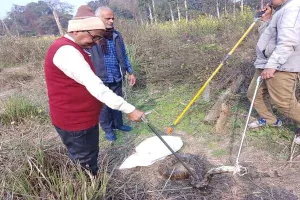 अयोध्या के कछौली गांव में निकला अजगर, मचा हडकंप