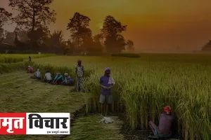 ऐसे दूर होगी सल्फर की कमी और बढ़ेगी फसलों की पैदावार,जानें विशेषज्ञों की राय