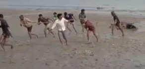 बदायूं: उसहैत क्षेत्र में गंगा के दलदल में फंसी दर्जनभर गाय, दो की मौत