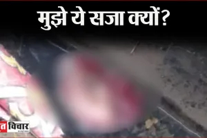 बरेली में मानवता शर्मसार: पांच माह के भ्रूण की हत्या कर नाली में फेंका, मजबूरी या पाप?