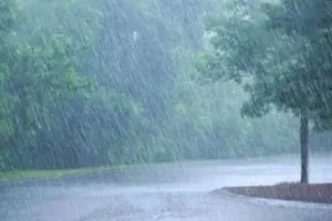 बरेली: 9 फरवरी को फिर बारिश की संभावना