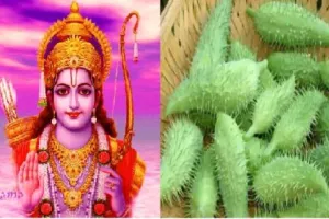 पहाड़ों में उगने वाली इस सब्जी में छिपा है पौष्टिकता का खजाना, भगवान राम से जुड़ी है इसकी कहानी