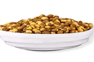 Health Benefits of bhuna chana: अपनी सेहत को बनाना है दुरुस्त तो जरूर खाएं यह पौष्टिक आहार