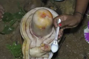 बाराबंकी: नंदी के दूध पीने की उड़ी अफवाह, मंदिर पहुंचे भक्त