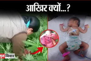 बरेली: मां… मुझे झाड़ियों में क्यों फेंका? ये मेरे लड़की होने की सजा थी या फिर कोई मजबूरी? मैंने तो अभी दुनिया को महसूस भी नहीं किया…