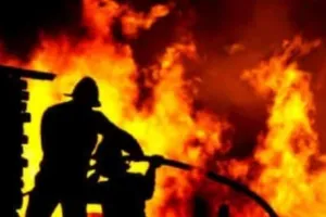 अमरेली में शेरों के अभयारण्य के पास लगी आग, कोई हताहत नहीं 