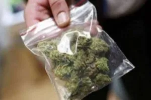 पूर्णियां से दो तस्करों को 143 किलोग्राम गांजा के साथ किया गिरफ्तार