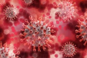 दुनियाभर में कोरोना संक्रमितों की संख्या 44 करोड़ के पार, अब तक 59.72 लाख से अधिक लोगों ने गंवाई जान