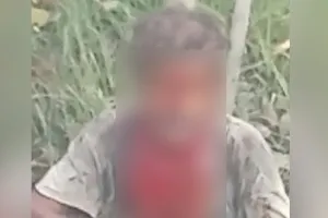 पीलीभीत: बाघ ने मजदूर को दबोचा, गंभीर रूप से जख्मी