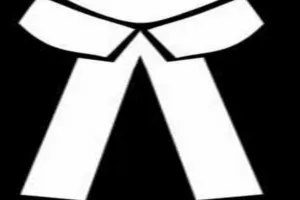 बहराइच: तहसील एसोसिएशन चुनाव के लिए तीन नामांकन पत्रों की हुई बिक्री