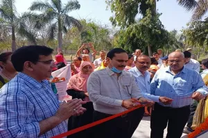 अमरोहा : डीएम ने पोषण पखवाड़ा रैली को दिखाई हरी झंडी