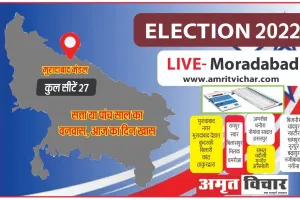 Election Results 2022 : मुरादाबाद मंडल में सपा ने 17 सीटों पर मारी बाजी, 10 जगह फूल खिला