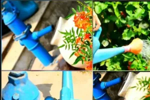 विश्व जल दिवस 2022: वर्षा जल संरक्षण करने वाले परिवारों को पानी के बिल में 10 फीसदी छूट देने की उठी मांग