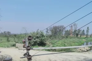 बरेली: ट्रक की चपेट में आने से गिरे बिजली के खंभे, गांवों में छाया अंधेरा