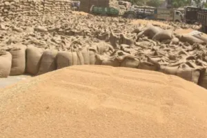 हल्द्वानी: गेहूं बेचने नहीं केवल रेट जानने पहुंच रहे किसान