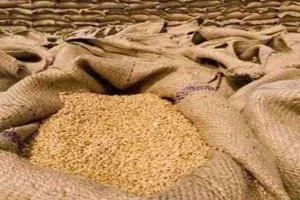 बाराबंकी: पहले दिन क्रय केंद्रों पर नहीं हुई गेहूं की खरीद, फैला रहा सन्नाटा