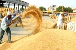 जसपुर: 82 गांवों के गेहूं की खरीद के लिए बनाए 12 क्रय केंद्र