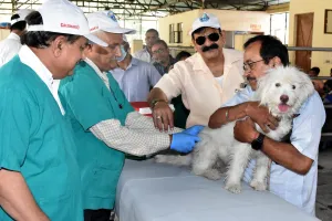 बरेली: आईवीआरआई में हुई क्लीनिकल केस प्रस्तुति प्रतियोगिता