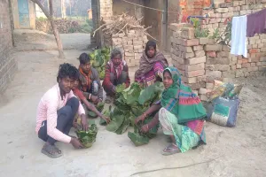 अयोध्या: वनराजा समुदाय के लोग पत्तों से दोना-पत्तल बना कर रहे परिवार का भरण पोषण