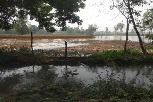 बाराबंकी: माइनर कटने से पानी से लबालब हुए गेहूं और पिपरमिंट के खेत, किसानों की मेहनत पर फिरा पानी