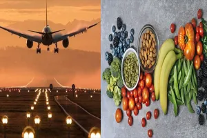 हवाई यात्रा करने से पहले रखें डाइट का खास ख्याल, भूल कर भी न खाएं यह चीजें