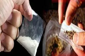 हल्द्वानी: बाप-बेटे से 40 लाख की स्मैक बरामद