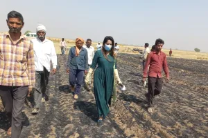 हरदोई: सैकड़ों बीघा गेहूं की फसल जलकर हुई राख, एसडीएम स्वाति शुक्ला ने लिया जायजा