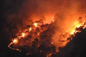 नैनीताल: मनोरा रेंज में फिर धधकी आग, एक हेक्टेयर से ज्यादा जंगल जला