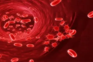 Health Tips: इन घरेलू तरीकों से बढ़ाएं अपनी बॉडी में प्लेटलेट्स, रहेंगे फिट एंड फाइन