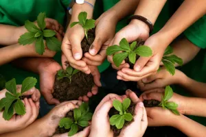 बस्ती: बारिश से पहले लगेंगे लाखों पौधे, जिलाधिकारी ने दिए तैयारी के निर्देश