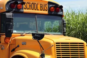 अयोध्या: टला बड़ा हादसा, नाले में फंसी स्कूल बस, आपातकालीन खिड़की से बच्चों को कराया गया रेस्क्यू