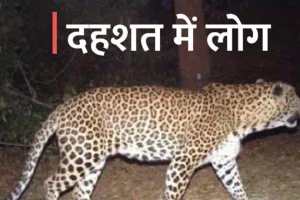 गरमपानी: बिरखन गांव में तेंदुए का आतंक, पिंजरा लगाने की मांग